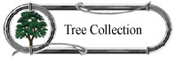 Tree Collection